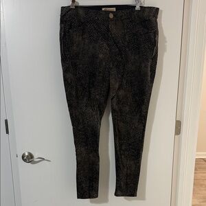 Democracy Black and Brown Patterned Pants